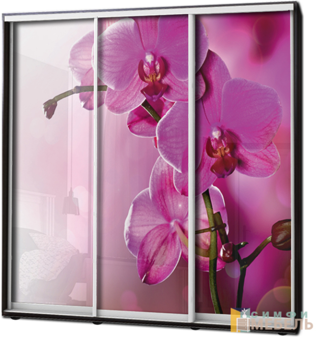 Шкаф купе 3х дв Фотопечать № 71