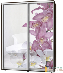 Шкаф-купе 2х дв Стандарт Фотопечать № 1