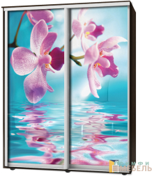 Шкаф-купе 2х дв Стандарт Фотопечать № 101