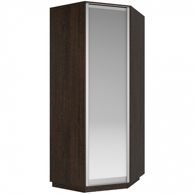 Шкаф-купе Экспресс Угловой ( Зеркало) Венге