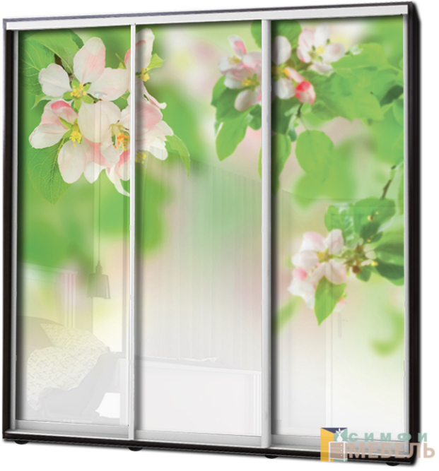 Шкаф купе 3х дв Фотопечать № 72