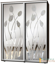 Шкаф-купе 2х дв Стандарт Пескоструй фон матовый № 11