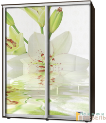 Шкаф-купе 2х дв Стандарт Фотопечать № 2
