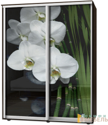 Шкаф-купе 2х дв Стандарт Фотопечать № 102