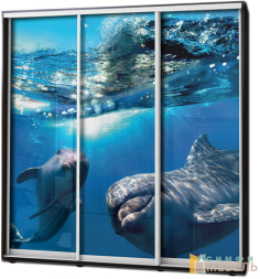 Шкаф купе 3х дв Фотопечать № 73