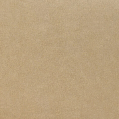 Диван мягкий двухместный "Дилан", Д-22, 1290х720х790 мм, без подлокотников, кожзам, бежевый