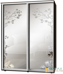 Шкаф-купе 2х дв Стандарт Пескоструй фон матовый № 12