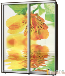 Шкаф-купе 2х дв Стандарт Фотопечать № 3