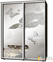 Шкаф-купе 2х дв Стандарт Пескоструй фон матовый № 13