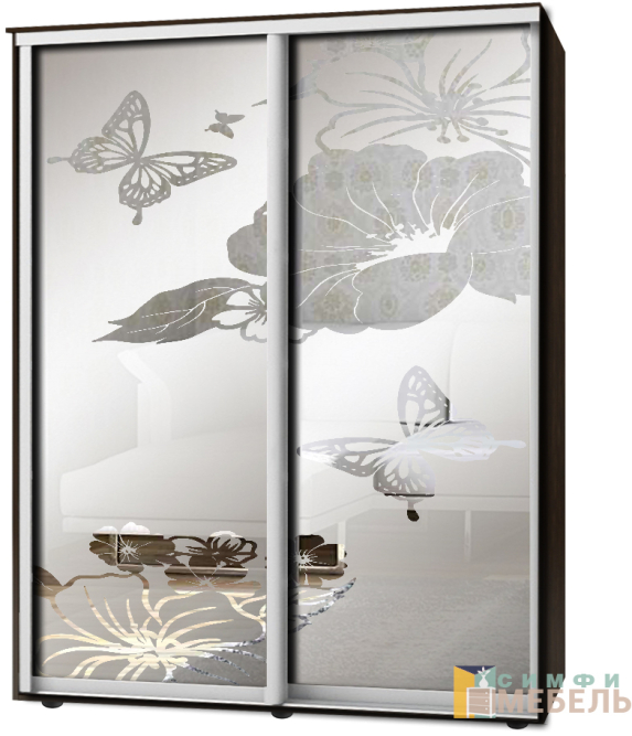 Шкаф-купе 2х дв Стандарт Пескоструй фон матовый № 13