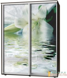 Шкаф-купе 2х дв Стандарт Фотопечать № 4