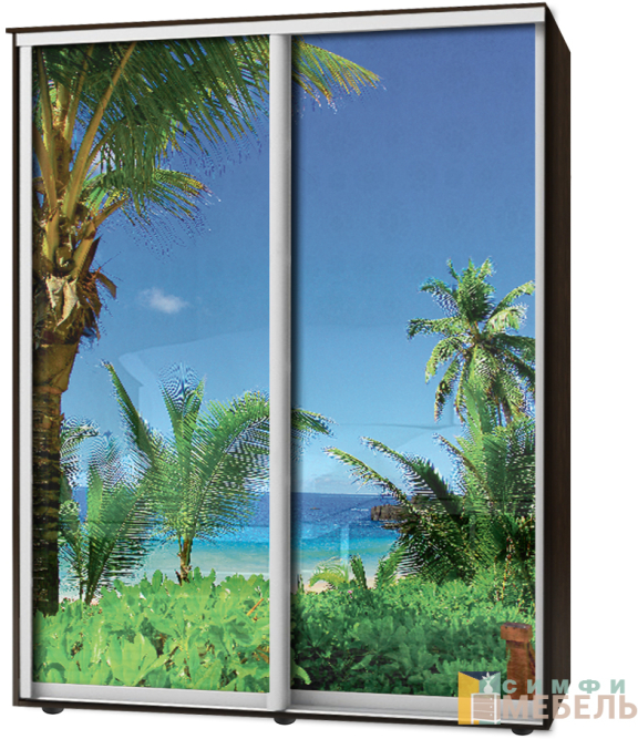 Шкаф-купе 2х дв Стандарт Фотопечать № 104