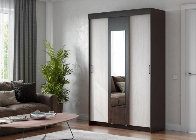 Шкаф-купе ШКП 2