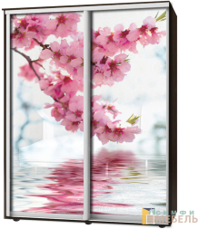 Шкаф-купе 2х дв Стандарт Фотопечать № 5