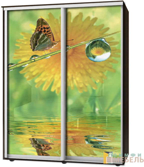 Шкаф-купе 2х дв Стандарт Фотопечать № 105