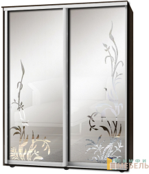 Шкаф-купе 2х дв Стандарт Пескоструй фон матовый № 15