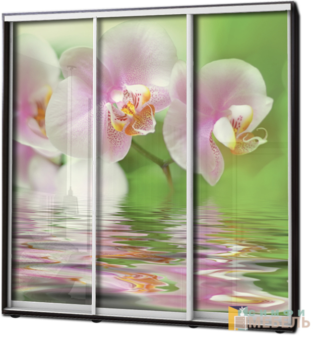 Шкаф купе 3х дв Фотопечать № 77