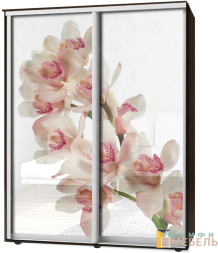Шкаф-купе 2х дв Стандарт Фотопечать № 7
