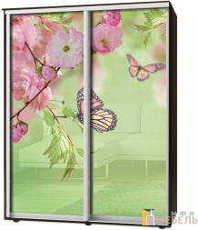 Шкаф-купе 2х дв Стандарт Фотопечать № 107