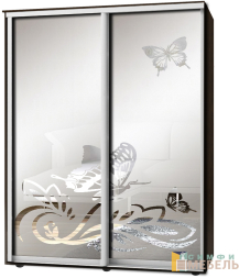 Шкаф-купе 2х дв Стандарт Пескоструй фон матовый № 17