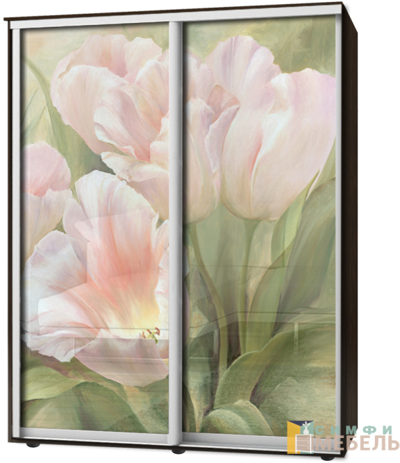 Шкаф-купе 2х дв Стандарт Фотопечать № 8