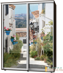 Шкаф-купе 2х дв Стандарт Фотопечать № 108