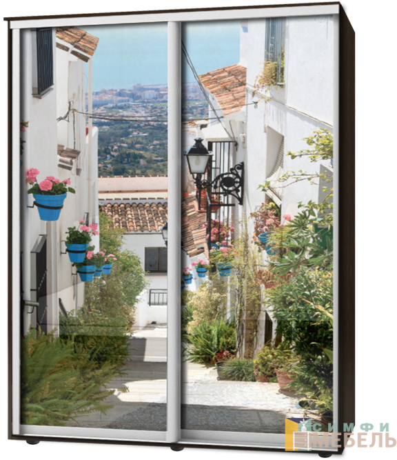 Шкаф-купе 2х дв Стандарт Фотопечать № 108