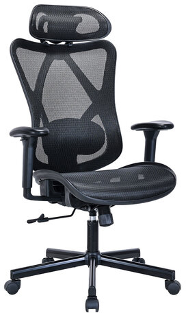 Кресло BRABIX PREMIUM "Axion ER-701", синхромеханизм, регулируемые подголовник и спинка, сетка, черное, 532965