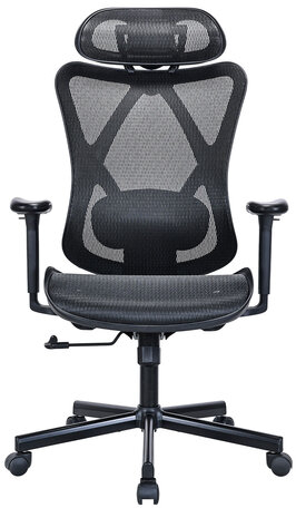 Кресло BRABIX PREMIUM "Axion ER-701", синхромеханизм, регулируемые подголовник и спинка, сетка, черное, 532965