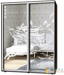 Шкаф-купе 2х дв Стандарт Пескоструй № 81