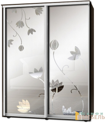 Шкаф-купе 2х дв Стандарт Пескоструй фон матовый № 18