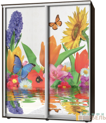 Шкаф-купе 2х дв Стандарт Фотопечать № 9