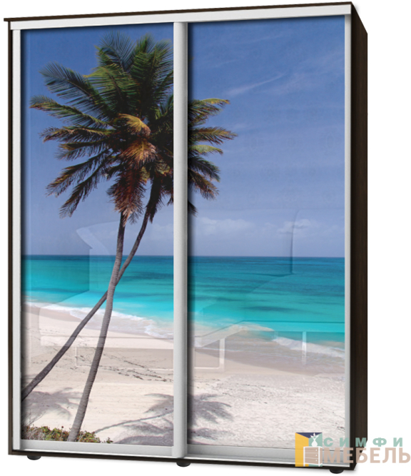 Шкаф-купе 2х дв Стандарт Фотопечать № 109