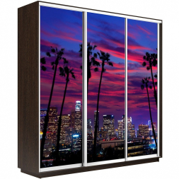 Шкаф-купе Экспресс 3-х дверный (Фото №1014 Закат над городом)