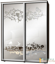 Шкаф-купе 2х дв Стандарт Пескоструй фон матовый № 19