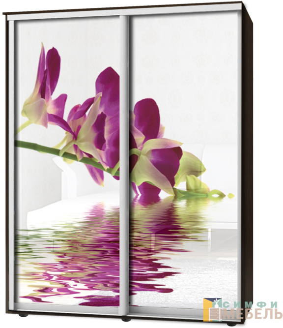 Шкаф-купе 2х дв Стандарт Фотопечать № 10