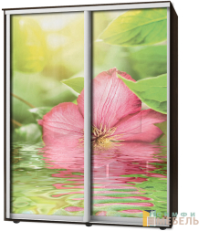 Шкаф-купе 2х дв Стандарт Фотопечать № 110