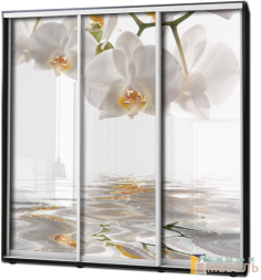 Шкаф купе 3х дв Фотопечать № 81