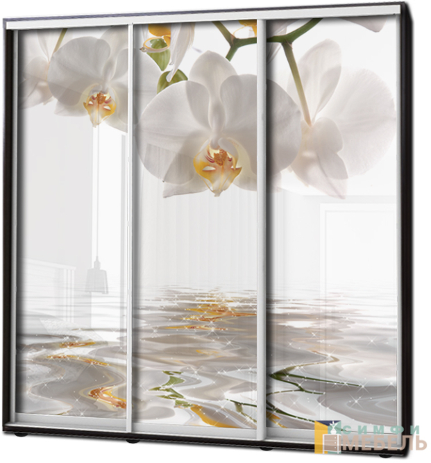 Шкаф купе 3х дв Фотопечать № 81