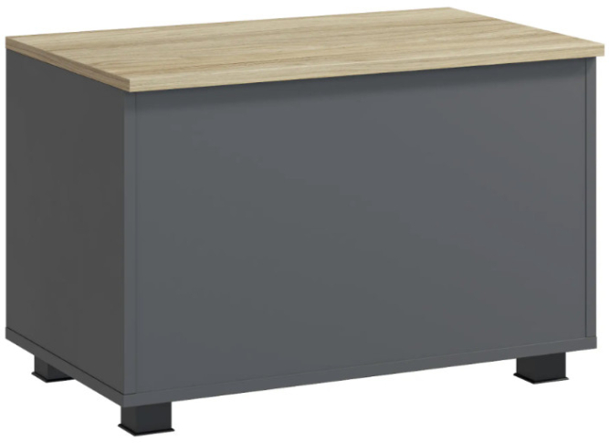 Ящик Скайлайт СЛ-60 блэквуд ячменный/графит