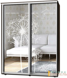 Шкаф-купе 2х дв Стандарт Пескоструй № 83