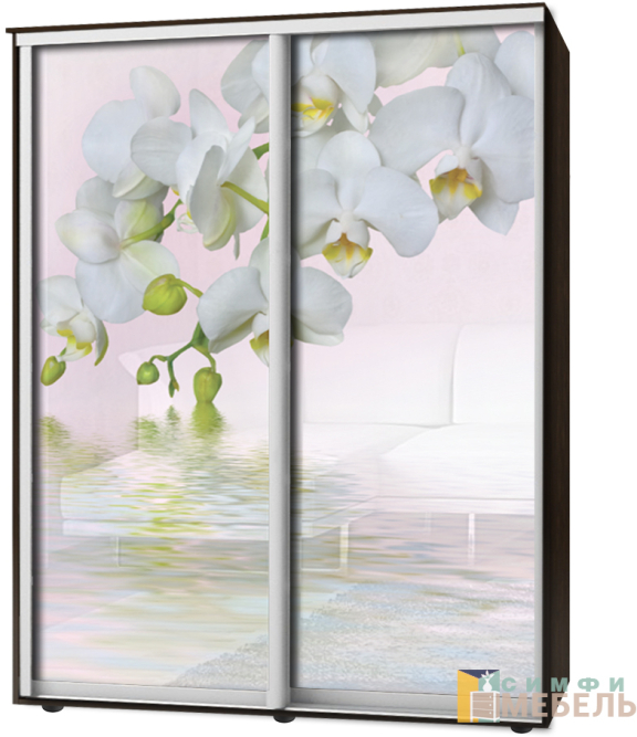 Шкаф-купе 2х дв Стандарт Фотопечать № 11
