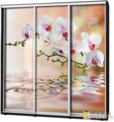 Шкаф купе 3х дв Фотопечать № 82