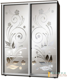 Шкаф-купе 2х дв Стандарт Пескоструй фон матовый № 21