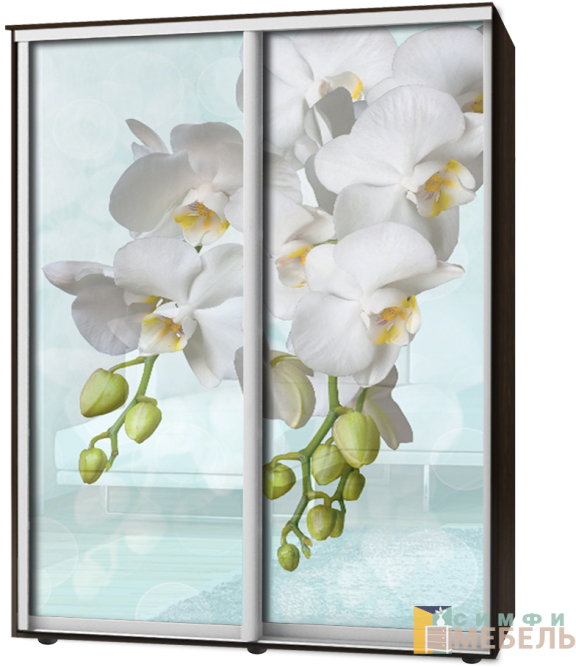 Шкаф-купе 2х дв Стандарт Фотопечать № 12
