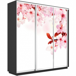 Шкаф-купе Экспресс 3-х дверный (Фото №1023 Сакура)