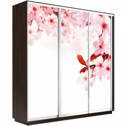 Шкаф-купе Экспресс 3-х дверный (Фото №1023 Сакура)