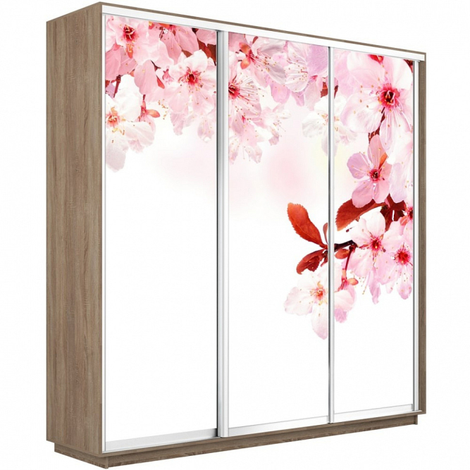 Шкаф-купе Экспресс 3-х дверный (Фото №1023 Сакура)