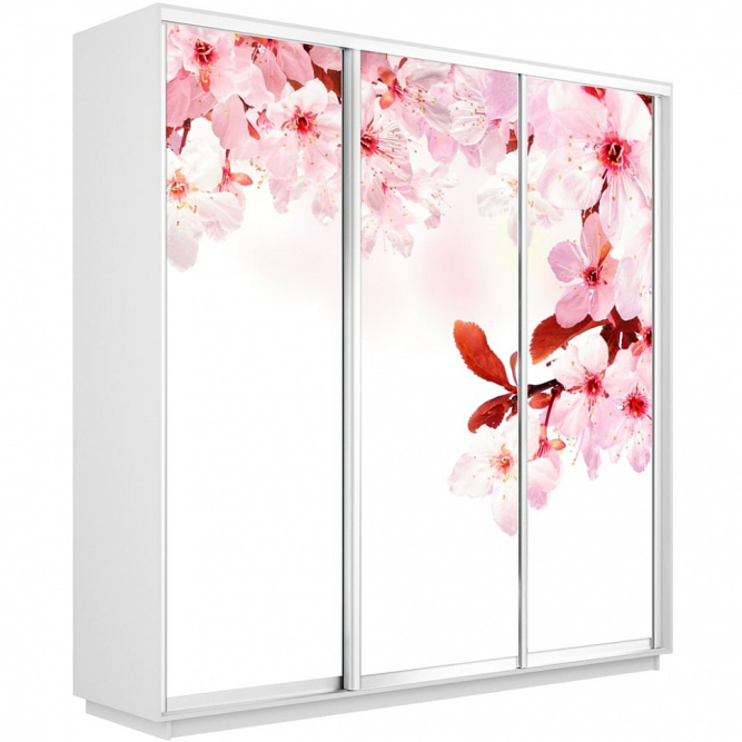 Шкаф-купе Экспресс 3-х дверный (Фото №1023 Сакура)