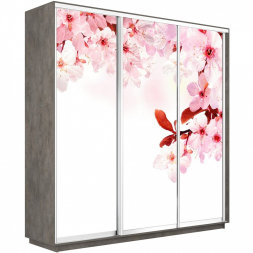 Шкаф-купе Экспресс 3-х дверный (Фото №1023 Сакура)